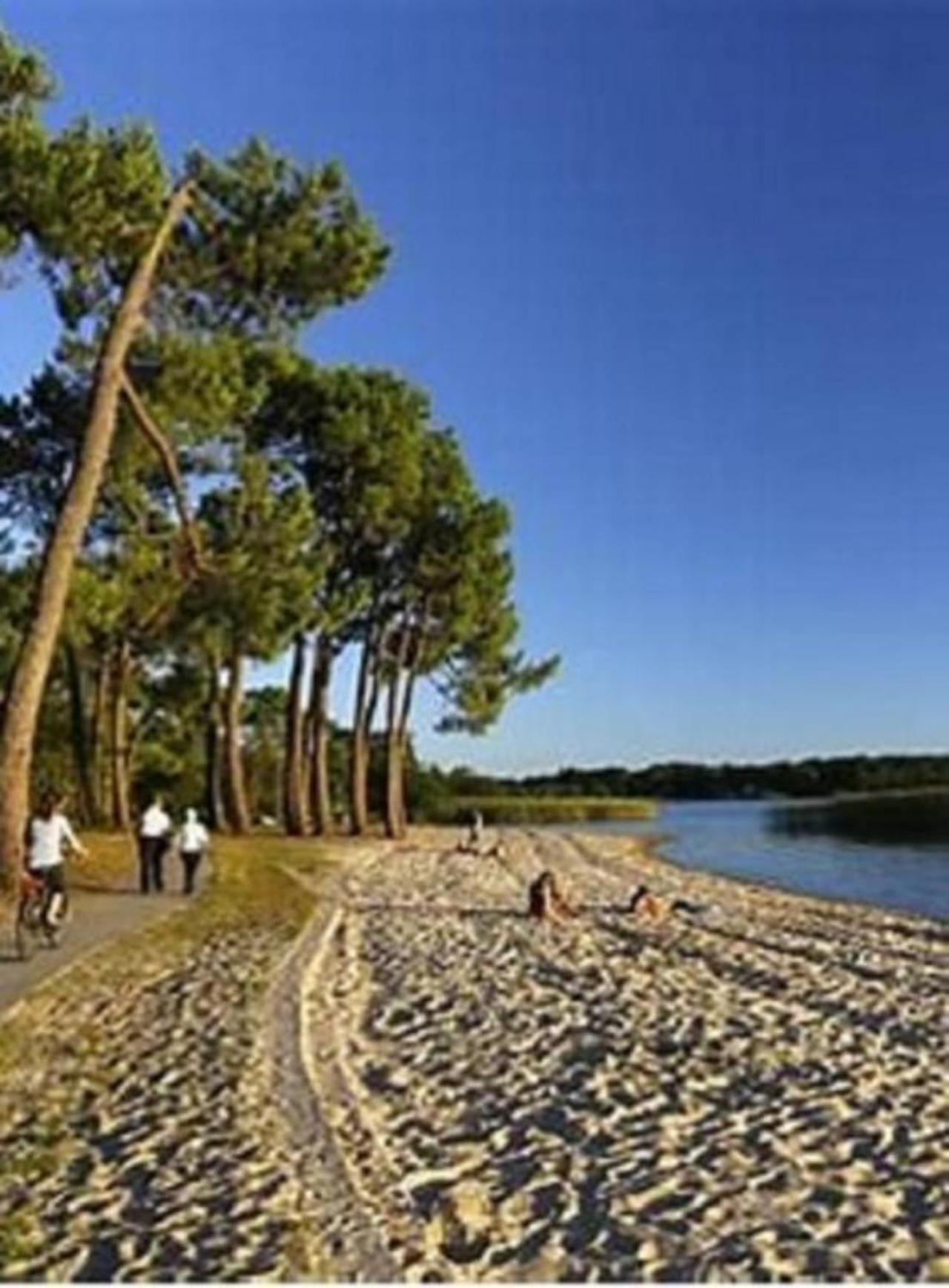 Agreable Maison A 400M Du Lac Villa Sanguinet Eksteriør billede